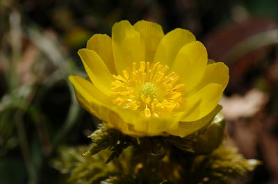 4906a00f.jpg