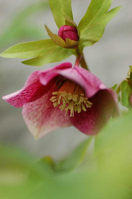 s-DSC_3476.jpg