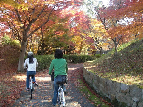 紅葉