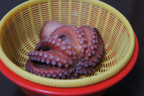 タコ
