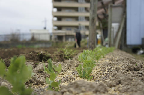 なに