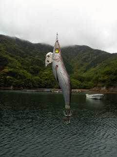 えぎ