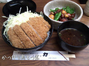 m_201103311132364d93e7c448b3a.jpeg