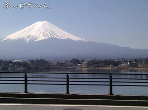 m_201104141019104da64b8ea8a6b.jpeg