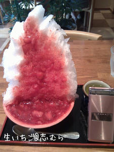 m_201107221102564e28da504761b.jpeg