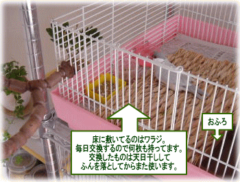 image92.gif