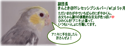image101.gif