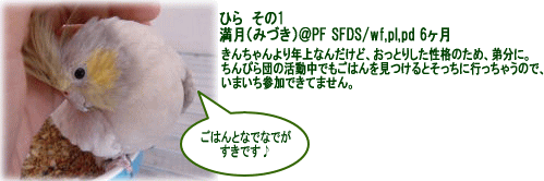 image102.gif