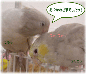 image106.gif