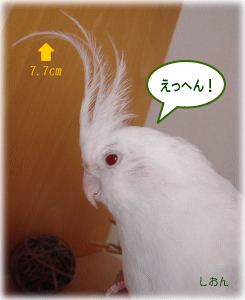 image107.gif