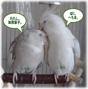 image112.gif