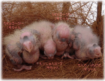 image122.gif