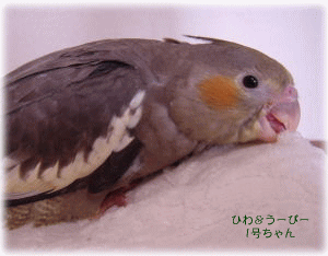 image128.gif