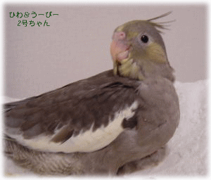 image124.gif