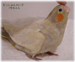 image134.gif