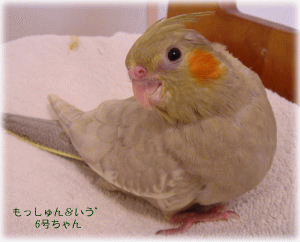 image152.gif