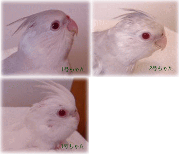 image154.gif