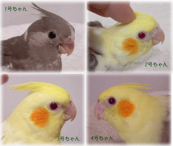 f4dd2800.gif