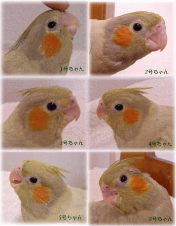 image133.gif