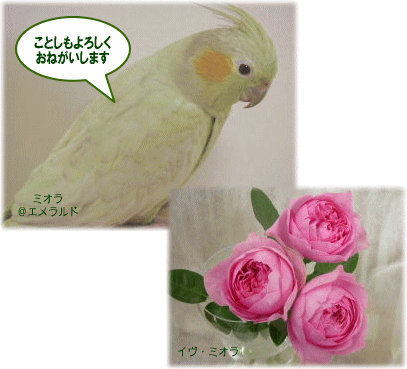 image206.gif