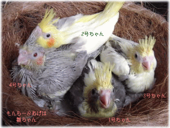 image272.gif