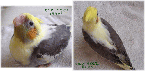 image280.gif