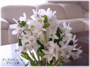 image278.gif