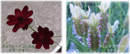 image277.gif