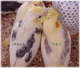 image282.gif