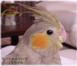 image287.gif