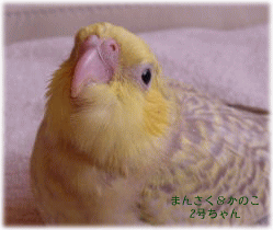 image290.gif
