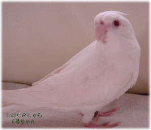 image292.gif