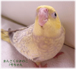 image293.gif