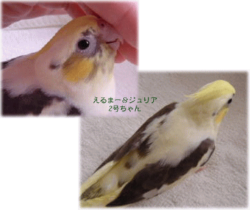 image297.gif