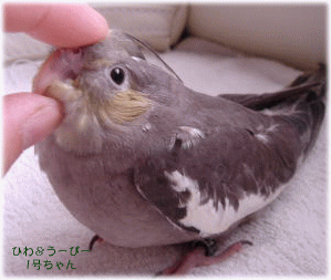 image298.gif