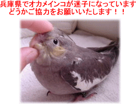 image316.gif