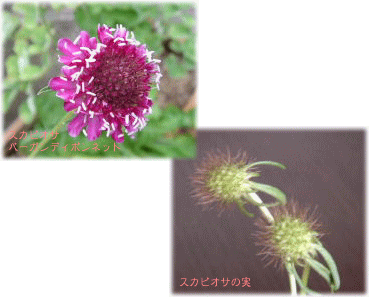 image320.gif