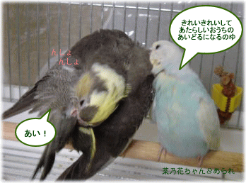 image344.gif
