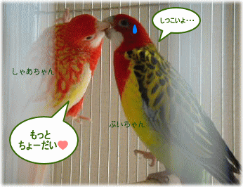 image377.gif