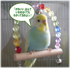 5d5b373e.gif