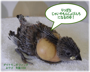image396.gif