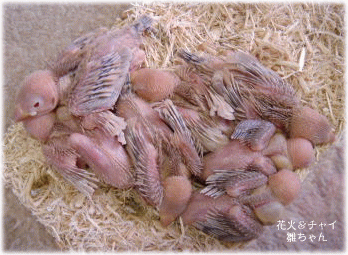 image415.gif