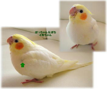 71c8da73.jpg