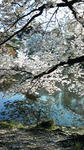 090409_163223_ed.jpg