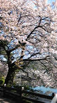 090409_163205.jpg