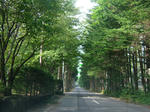 2007_0915070004.jpg