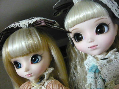 2011.11.08-dool-2.jpg