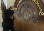 DSC01402.JPG