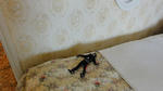 DSC01405.JPG