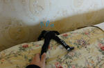 DSC01406.JPG